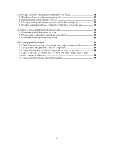 Structura Orientativă a Studiului de Fezabilitate a unei Idei de Afaceri - Pagina 2