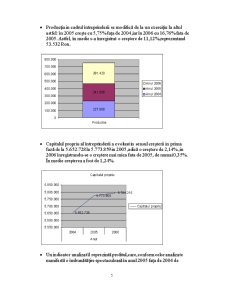 Analiza economico-financiară - Pagina 5