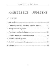 Consiliile județene - Pagina 1