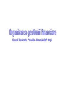 Organizarea gestiunii financiare - Liceul Vasile Alecsandri Iași - Pagina 1