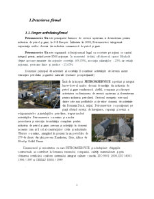 Monografie - SC Petrom Service SA - Pagina 3