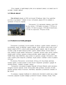 Monografie - SC Petrom Service SA - Pagina 5