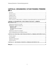 Organizarea gestiunii financiare a Primăriei Iași - Pagina 2