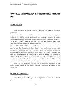 Organizarea gestiunii financiare a Primăriei Iași - Pagina 3