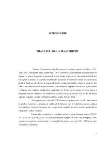 Tratatul de la Maastricht - Pagina 3