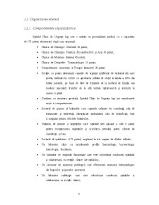 Fundamentarea Indicatorilor Financiari la Spitalul Clinic de Urgențe Iași - Pagina 4