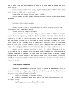 Proiect SC Construcții Hidrotehnice SA Iași - Pagina 5
