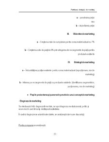 Planificarea strategică de marketing - curs 3 - Pagina 3