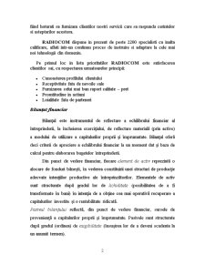 Managementul poziției financiare a Societății Naționale de Radiocomunicații SA, filiala Iași - Pagina 2