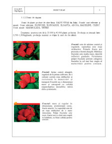 Proiectarea unui Sistem de Refrigerare pentru Păstrarea a 5t de Căpșuni - Pagina 5