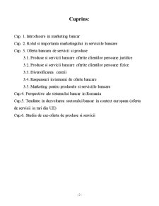 Analiza Ofertei de Produse și Servicii Bancare - Pagina 2