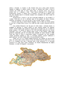 Maramureș - țara de la miazănoapte - Pagina 2
