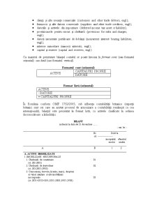 Cadrul contabil conceptual - situațiile financiare - Pagina 5
