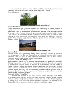Prezentarea turistică a zonei Dobrogea - litoralul Mării Negre - Pagina 4