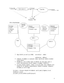 Sisteme informaționale de gestiune - Pagina 4