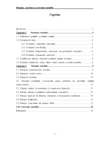 Principii, postulate și convenții contabile - Pagina 2