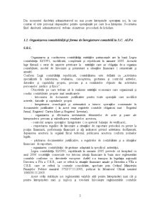 Probleme privind prezentarea societății și organizarea contabilității La SC Alfa SRL - Pagina 3