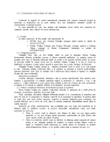 Contractarea și derularea operațiunilor de import de vopsea pulberi - Neptun Trading SRL - Pagina 4