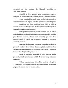 Raport practică - SC Ambro SA Suceava - Pagina 2