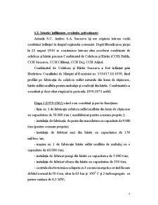 Raport practică - SC Ambro SA Suceava - Pagina 4