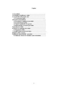 Sistem de Rulare - Sistem de Rulare pe Pneuri - Pagina 2