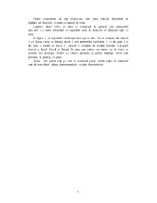 Sistem de Rulare - Sistem de Rulare pe Pneuri - Pagina 5