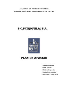 Plan de Afaceri - SC Petroutilaj SA - Pagina 1