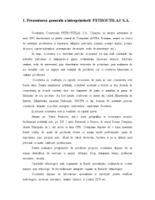 Plan de Afaceri - SC Petroutilaj SA - Pagina 3