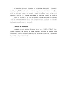 Plan de Afaceri - SC Petroutilaj SA - Pagina 4