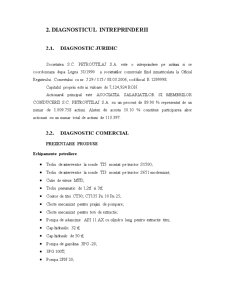Plan de Afaceri - SC Petroutilaj SA - Pagina 5