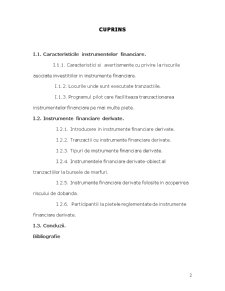 Instrumente Financiare în România - Caracteristicile Instrumentelor Financiare - Instrumente Financiare Derivate - Pagina 2