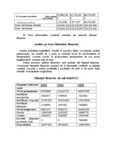 Proiect gestiunea financiară a întreprinderii Ceramica SA Iași - Pagina 5