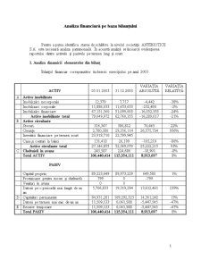 Analiza financiară pe baza bilanțului contabil - Pagina 2