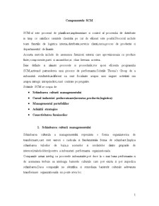 Componentele SCM - Pagina 1