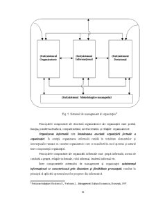 Sistemul de Management Organizațional - Pagina 5