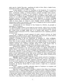 Industria României din perioada feudală până în prezent - Pagina 2
