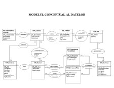 Sistem informatic de gestiune al unei firme - SC Alfa Birotică SA - Pagina 4