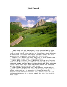 Economia turismului rural - Munții Apuseni - Pagina 2