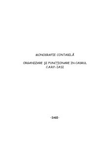 Monografie Contabilă - Pagina 1