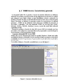 Descrierea Microsoft Access 2003 - Pagina 5