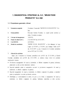 Diagnosticul strategic al SC Bruni Food Products SA - Iași - Pagina 2