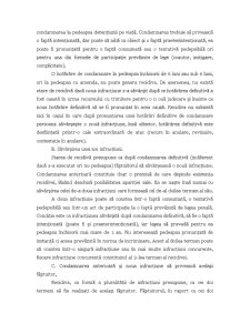 Recidiva în dreptul penal - Pagina 5