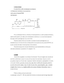 Acidul Folic - Pagina 2