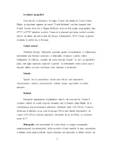 SC Cotnari SA - Pagina 5