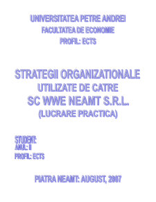 Strategii organizaționale - Pagina 1