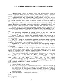 Procesul logistic - Navrom SA Galați - Pagina 1