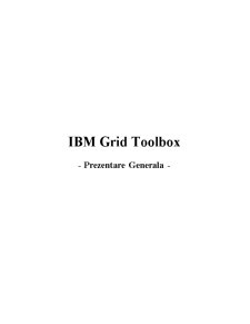 IBM Grid Toolbox - prezentare generală - Pagina 1