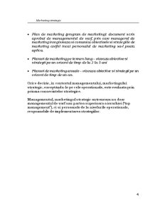 Marketing Strategic(curs complet) - Pagina 4