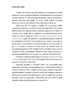 Moldova în OMC - Avantaje și Dezavantaje - Pagina 5