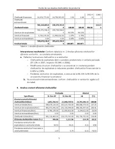 Analiza cheltuielilor de producție - Pagina 5